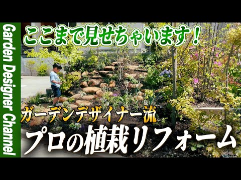 jardin-pente-terrasses-côté-escalier-plantes-basses