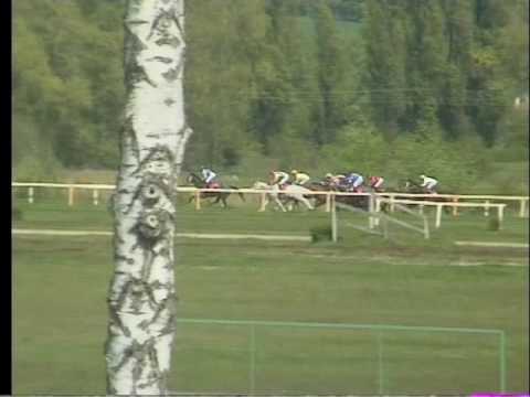 LL, 1. 5. 2017, 1. dostih - HANDICAP MEMORIAL VÁCLAVA ŠPAČKA