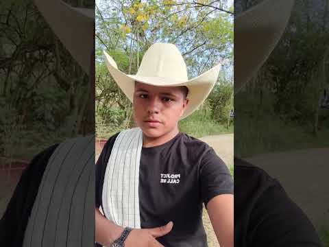 #virslshorts #parati #caballos #ganaderia #ferias #tarqui #huila