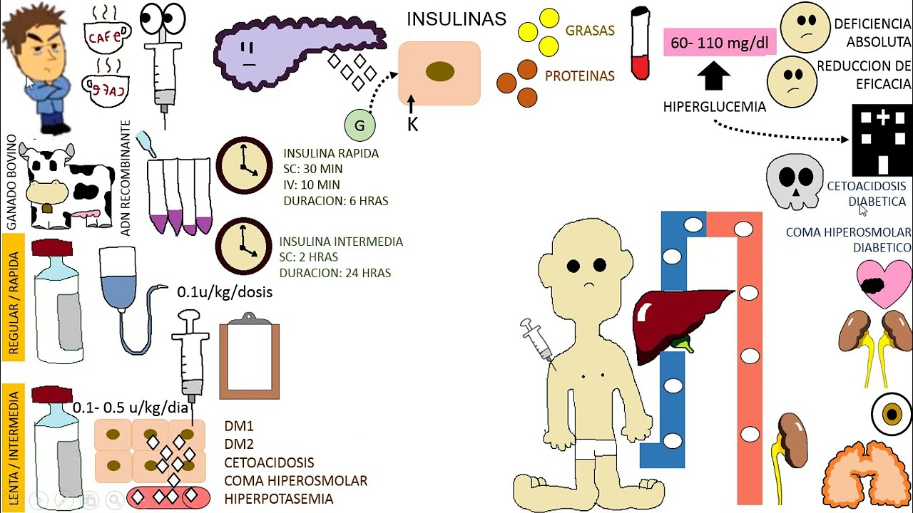Farmacologia: Insulinas