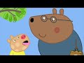 We Love Peppa Pig Doctors 39