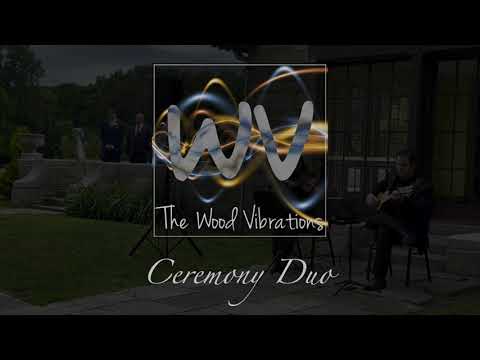 Promotional video thumbnail 5 for The Wood Vibrations