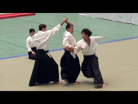 Yasuno Masatoshi - 56th All Japan Aikido Demonstration 2018