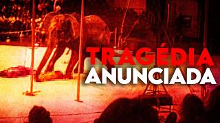 A Verdade Escondida Nas Últimas Imagens