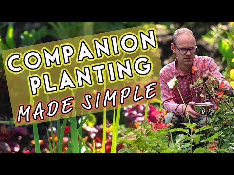 , title : 'Why Vegetables Need Friends: Companion Planting Made Simple 🌺🐝🥕'