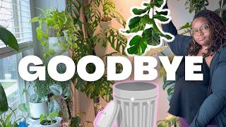 Caring for Struggling Houseplants | Hoya Repotting + Saying Goodbye