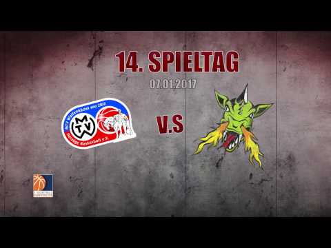 14. Spieltag | 07.01.2017 | MTV Herzöge Wolfenbüttel - Artland Dragons