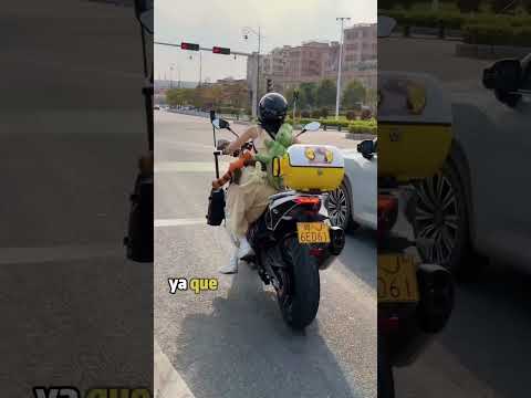 Insistió en comprarse una moto grande, pero mira cómo terminó todo. #shorts