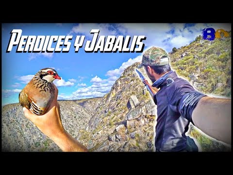 CAZA SALVAJE ¿Arriesgarias tu VIDA por una PERDIZ?