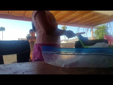 Guess the animal challenge