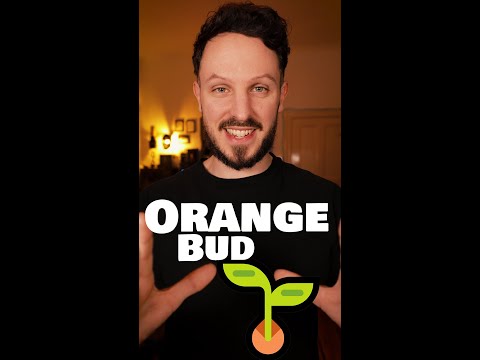 Orange Bud 💚