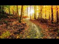 Beautiful Relaxing music, Peaceful piano Music, "Early Autumn Days" by Tim Janis
