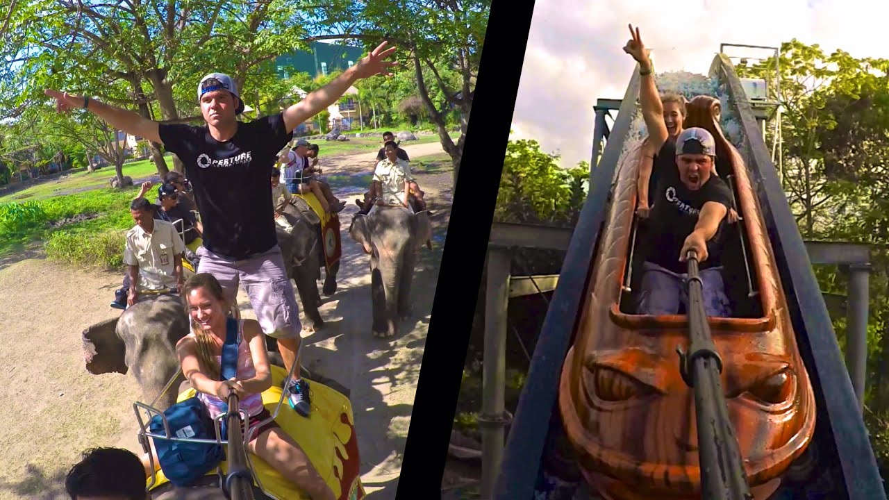 Witness the cinematic splendors of Bali Safari & Marine Park.