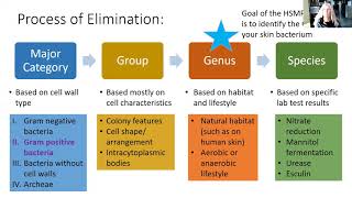 Identifying Bacteria the Bergey's Manual Way