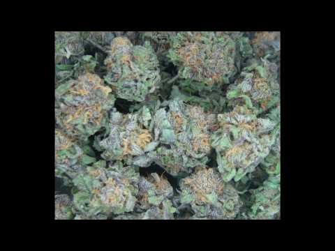 Rapsinn ft. Asazzino Kranke Gedanken