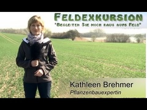 1. Feldexkursion: Rapsschädlinge und Maisaussaat - NU Agrar, 15.04.2015