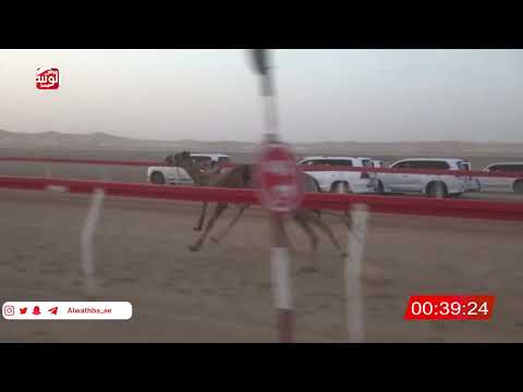  ش 2 دخول جماعي 2:03 , شارة الصندوق 2026/04/25 فطامين الروضة