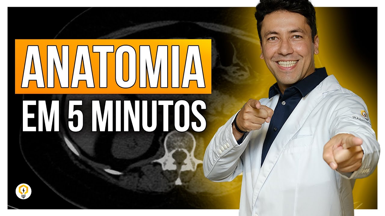 Conheça a ANATOMIA em TC de Abdômen