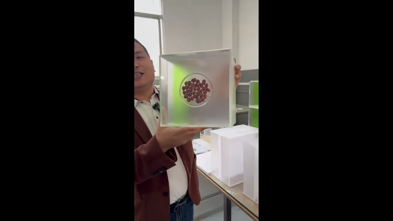 Custom Acrylic Fabrication | High-Clear Acrylic Specimen Display Boxes | Grandview