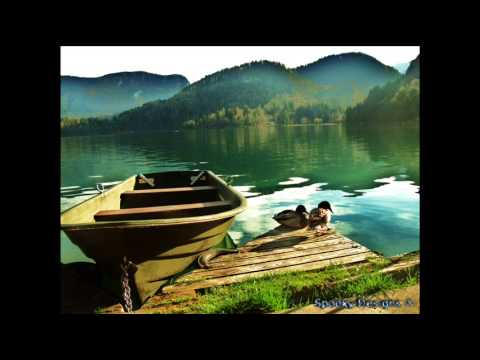 Avtomobili - Drugačno nebo