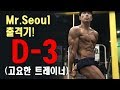 미스터서울 출격기! D-3(고요한트레이너)