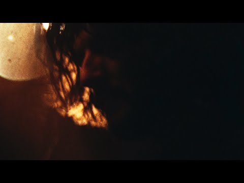 Vimala - Fact (Official Video)