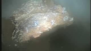 【尿石除去】（最新技術-高速回転清掃機）マッドサイクロンMINI φ100