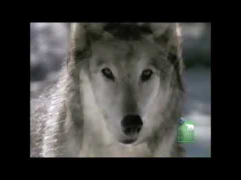 The Most Extreme -Thinkers