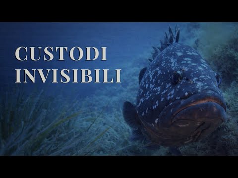 Custodi invisibili: rotte per la biodiversità