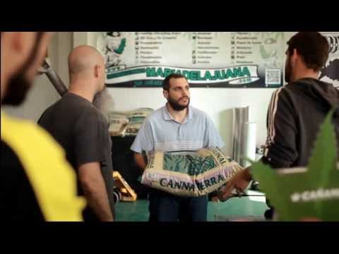 ¡Te voy a hacé una paja perilla! - Malviviendo 3x02