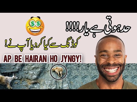 How To Reverse A Audio In Python Code Make Reverse Audio App Pythonautomation Pythoninhindi