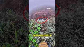 Download lagu Mancing/Casting Ikan Gabus/Haruan mp3