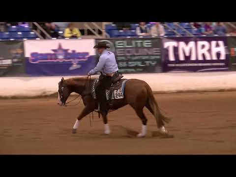 Clinton Anderson and Thor's 2023 Cactus Reining Classic Run