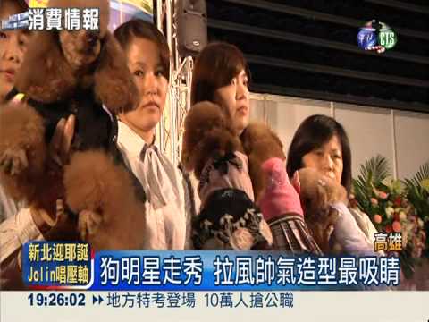 比人還好命! 寶石遛狗繩要價8萬