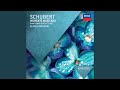 Schubert: Piano Sonata No. 21 in B flat, D.960 - 2. Andante sostenuto