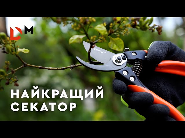 youtube-img