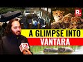 Inside Vantara Anant Ambani Led 3 000 Acre Animal Rescue Care Facility In Jamnagar Watch