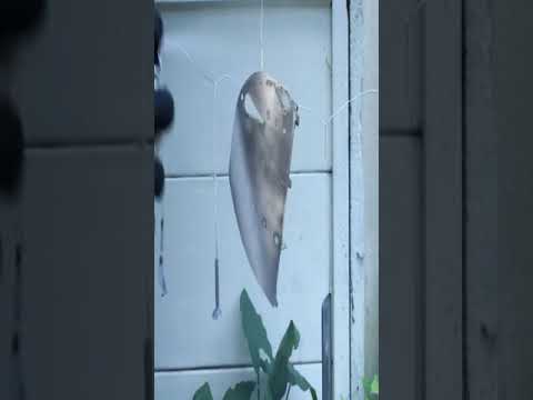 1950’s Egg Scale Restoration   Grandma Kitchen Scale #RESTORATION   #tysytube  #diy  #1  #2