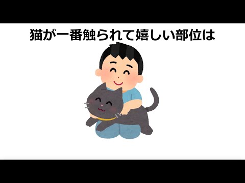 猫を撫でることのメリット