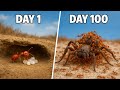 1000 Fire Ants Vs Deadly Prey 100 Days Of Colony War