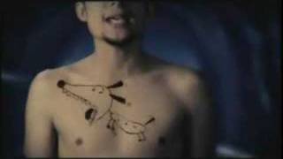 BAM - Doctor  Krapula