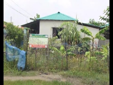 নীরব কৃষি বিপ্লব বরিশালের আশ্রয়ণ প্রকল্পে