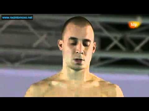 Men 10 Metres Platform Final, Diving, European Aquatics Championships Eindhoven 2012 (5/6)