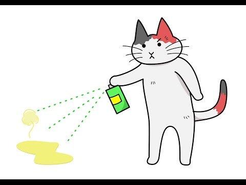 How to Get Rid of Cat Smell | How to Get Rid of Cat...