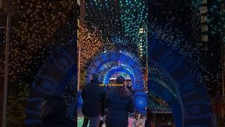 Chasing Dreams Tunnel 🌈✨ | Vivid Sydney 2025 Magic! #VividSydney #LightTunnel #Dreamscape