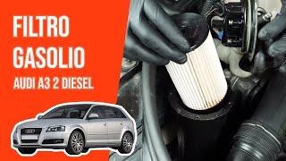 Youtube thumbnail of video "Filtro gasolio"
