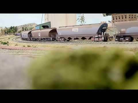 Pacific National HO Scale Prototypical Grain Train