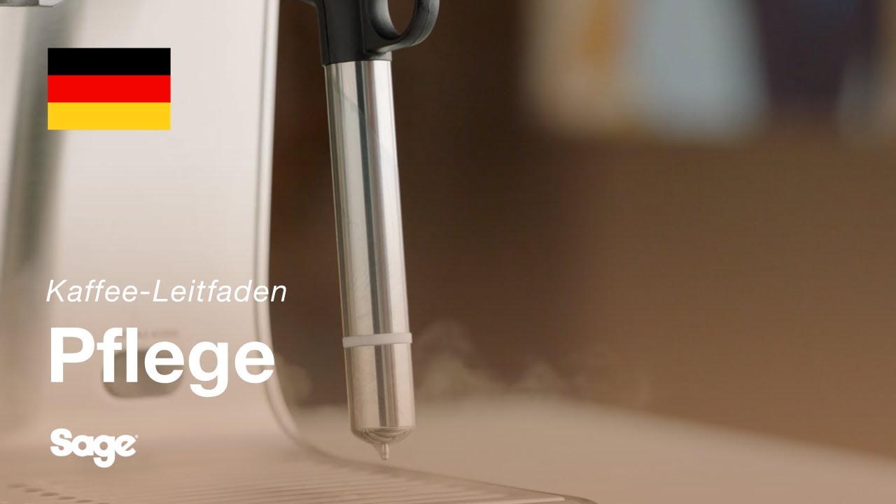 Reinigen und Durchspülen des Dampfstabs