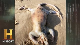 The Proof Is Out There: Alien Corpse Washes Up on Australian Beach (Season 4) | History