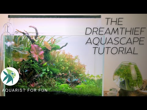 AQUASCAPE TUTORIAL - BUILDING a 60cm High Tech Planted Aquarium --"THE DREAMTHIEF"
